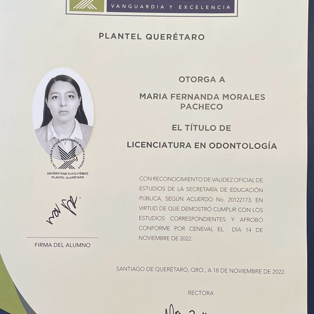 Ampliar imagen: certificate 1