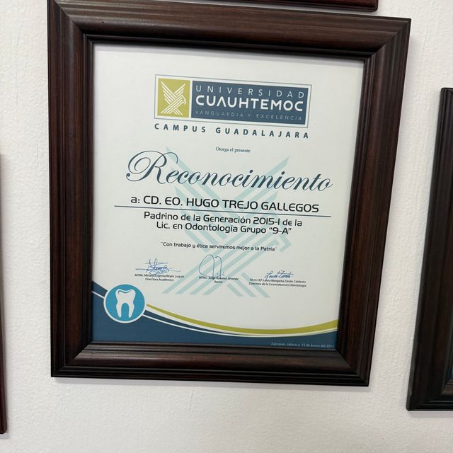 Ampliar imagen: certificate 4