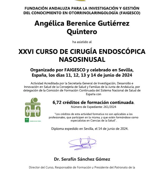 Ampliar imagen: certificate 5