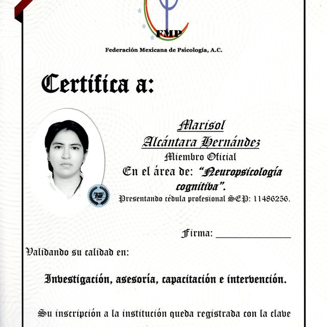 Ampliar imagen: certificate 6