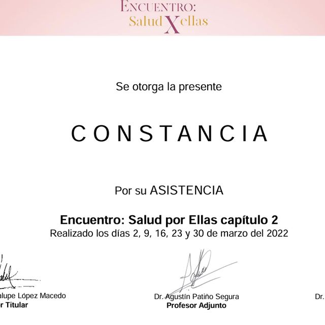 Ampliar imagen: certificate 20