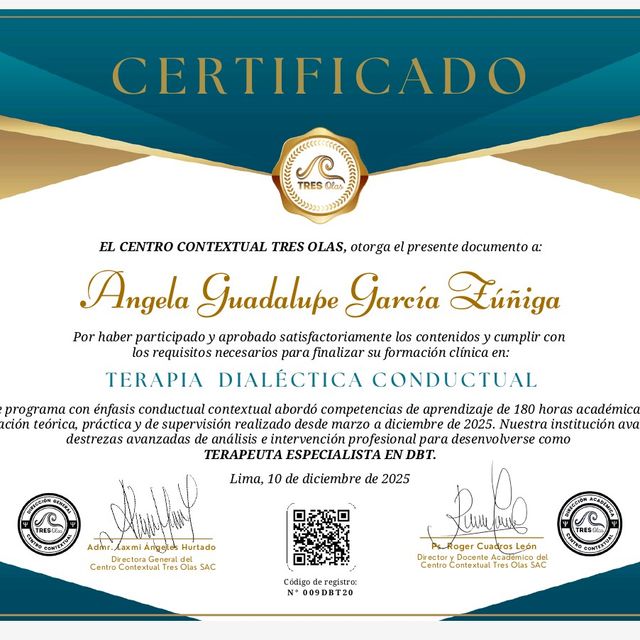 Ampliar imagen: certificate 1