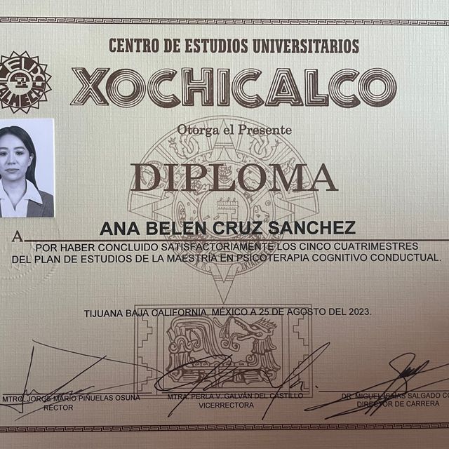 Ampliar imagen: certificate 2