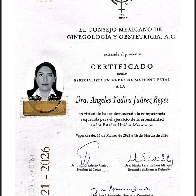 Ampliar imagen: certificate 1