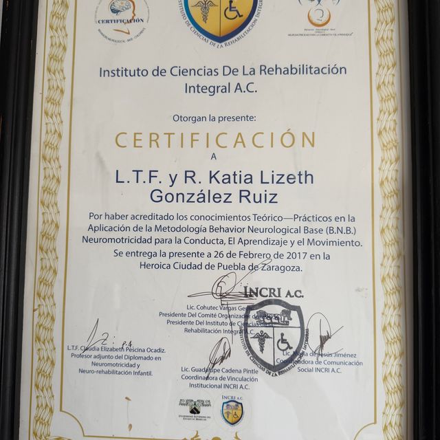 Ampliar imagen: certificate 7