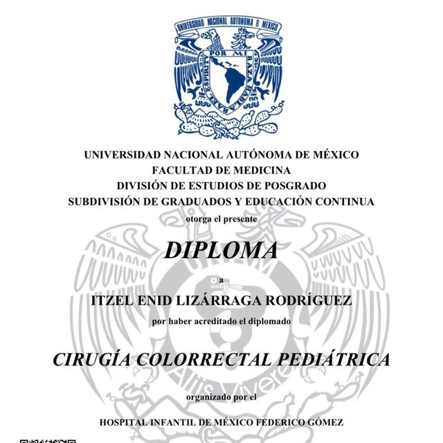 Ampliar imagen: certificate 9