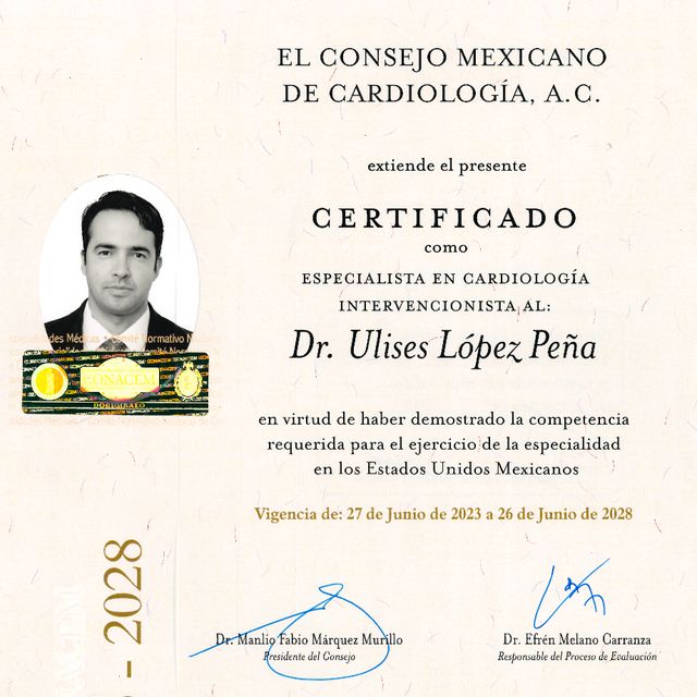 Ampliar imagen: certificate 6