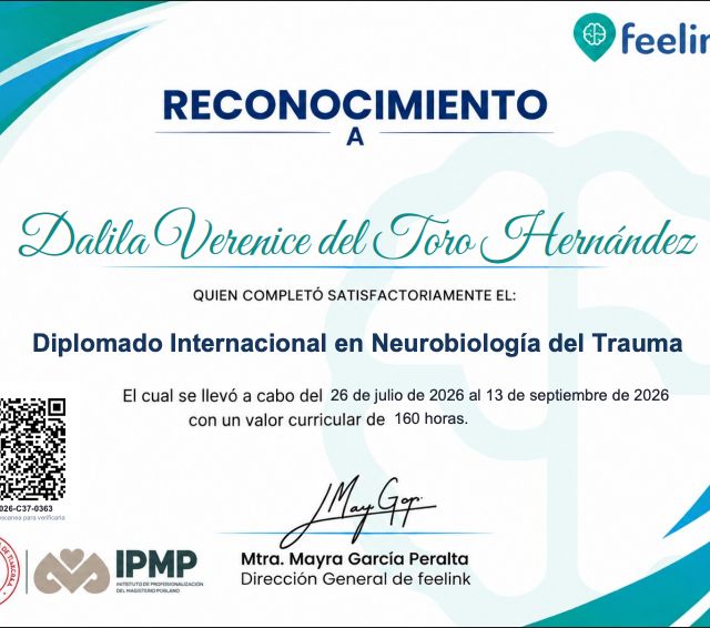 Ampliar imagen: certificate 10