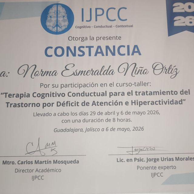 Ampliar imagen: certificate 9