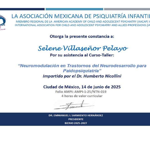 Ampliar imagen: certificate 23