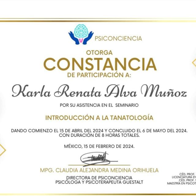 Ampliar imagen: certificate 5