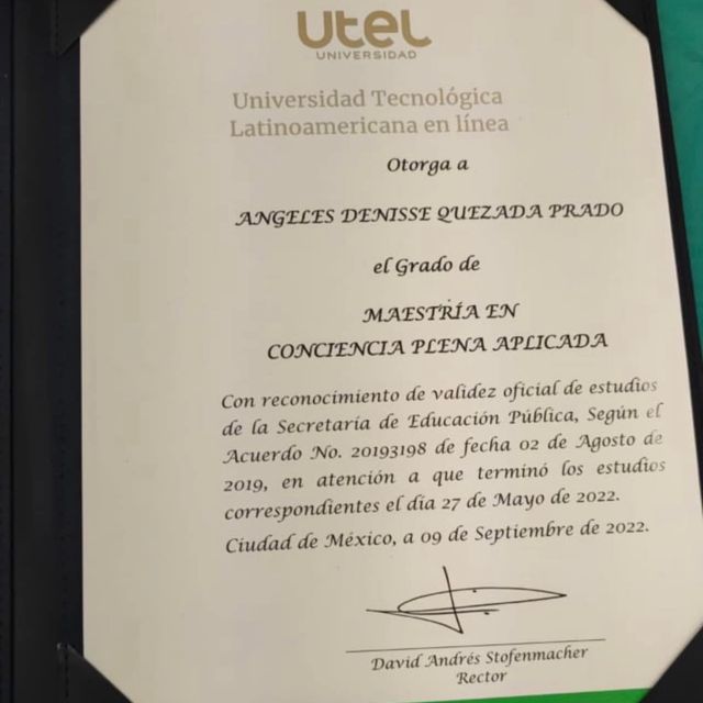 Ampliar imagen: certificate 22