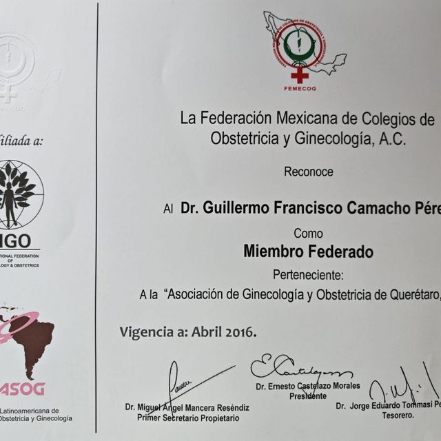 Ampliar imagen: certificate 4