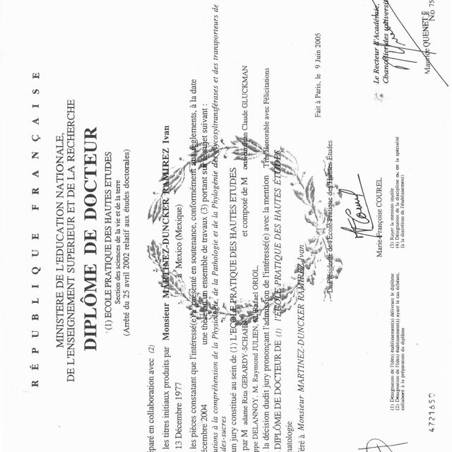 Ampliar imagen: certificate 2