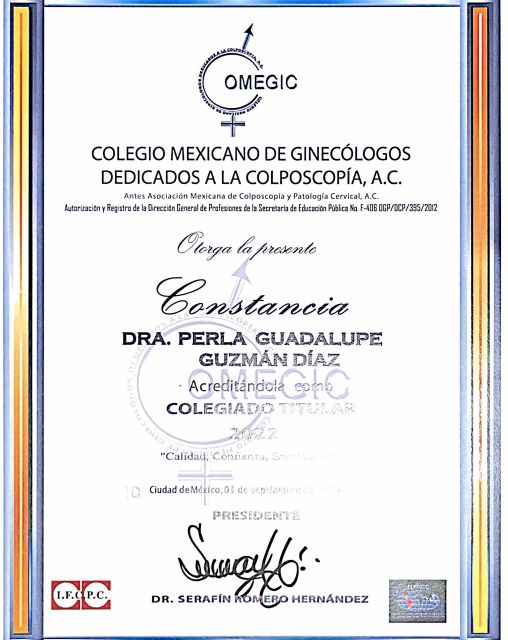 Ampliar imagen: certificate 8
