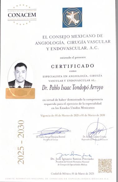 Ampliar imagen: certificate 5