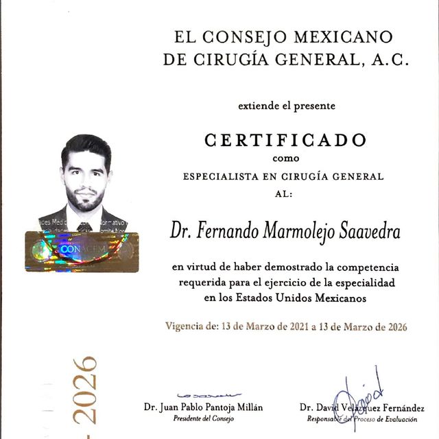 Ampliar imagen: certificate 3