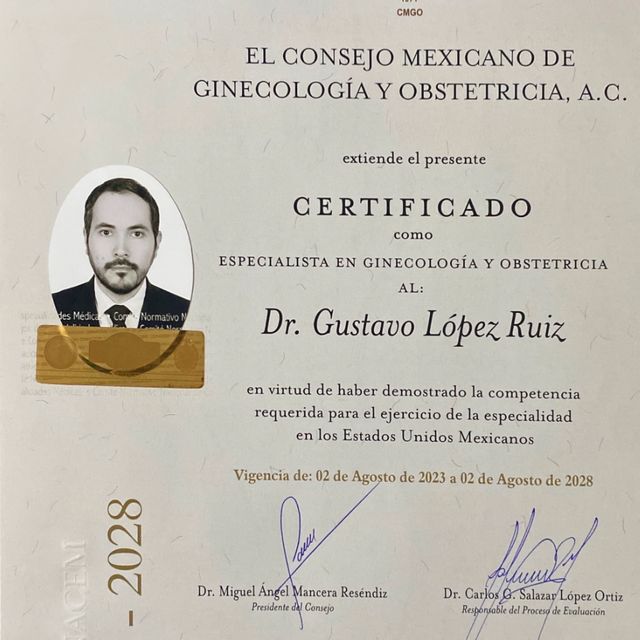 Ampliar imagen: certificate 2