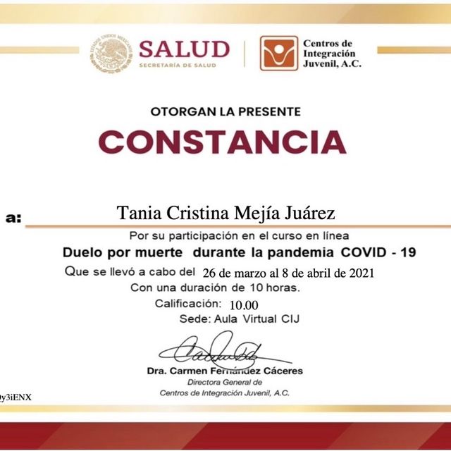 Ampliar imagen: certificate 13