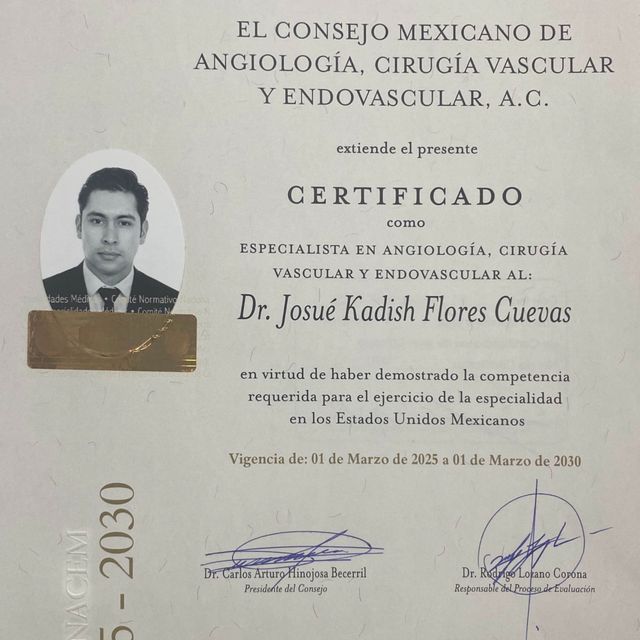 Ampliar imagen: certificate 1