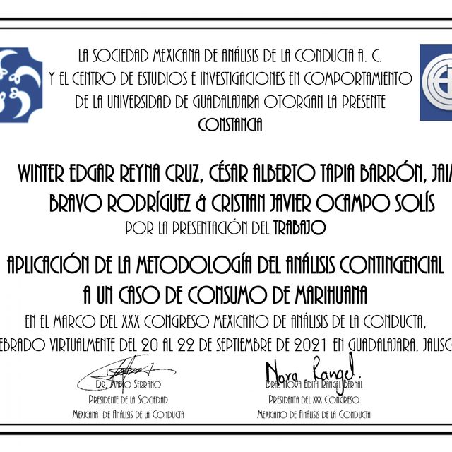 Ampliar imagen: certificate 13