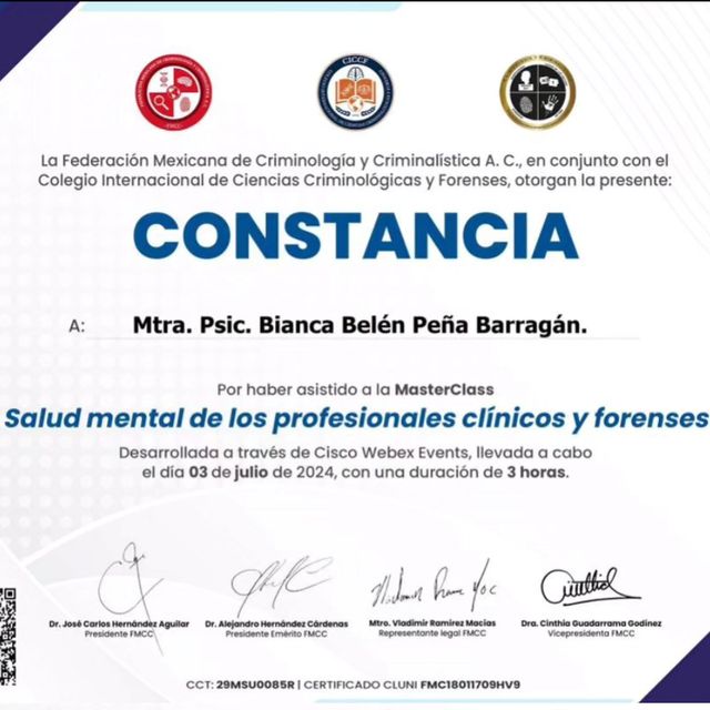 Ampliar imagen: certificate 24