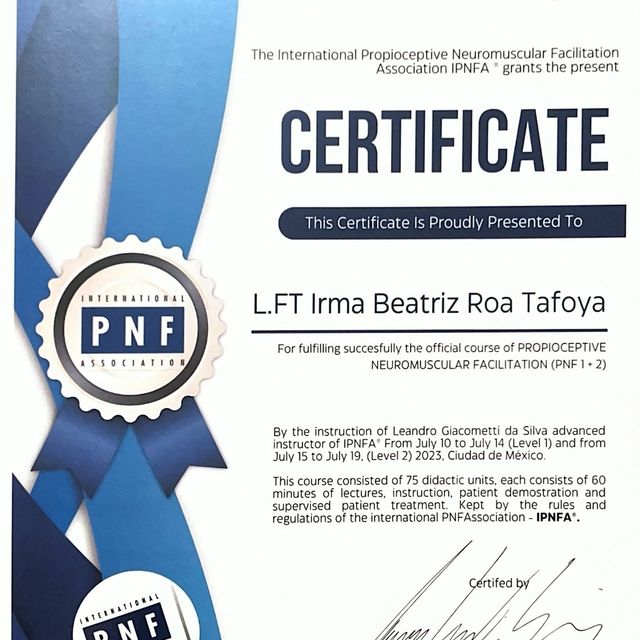 Ampliar imagen: certificate 2