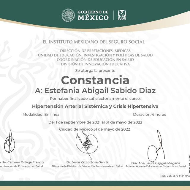 Ampliar imagen: certificate 5