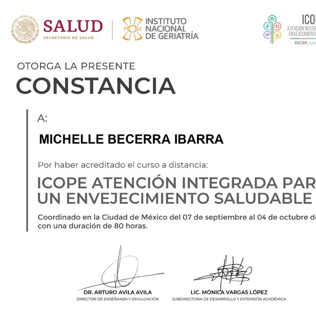 Ampliar imagen: certificate 5
