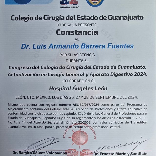 Ampliar imagen: certificate 3