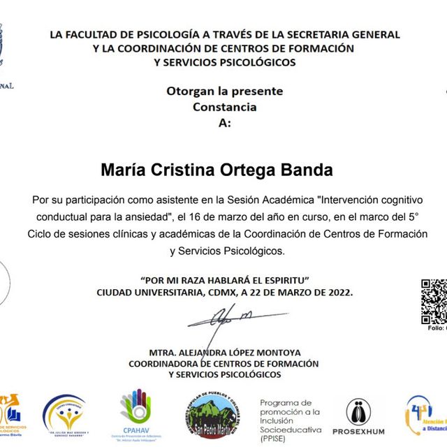 Ampliar imagen: certificate 6