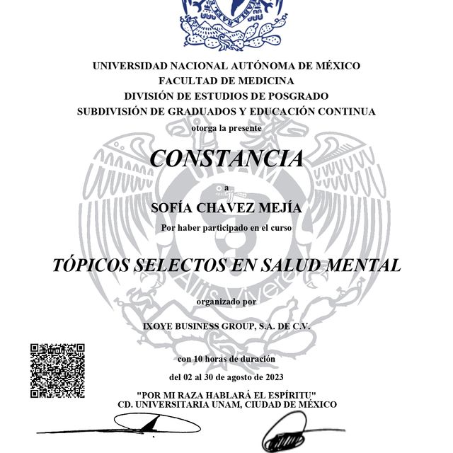 Ampliar imagen: certificate 1