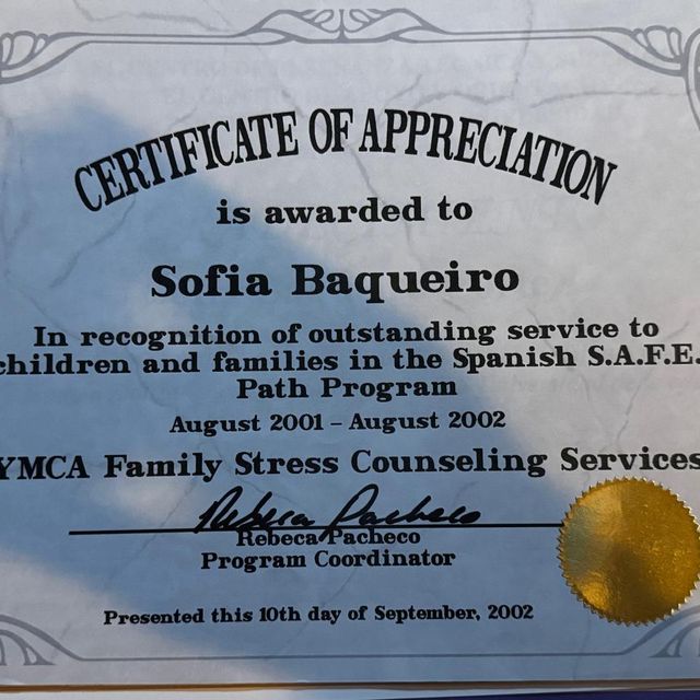 Ampliar imagen: certificate 7