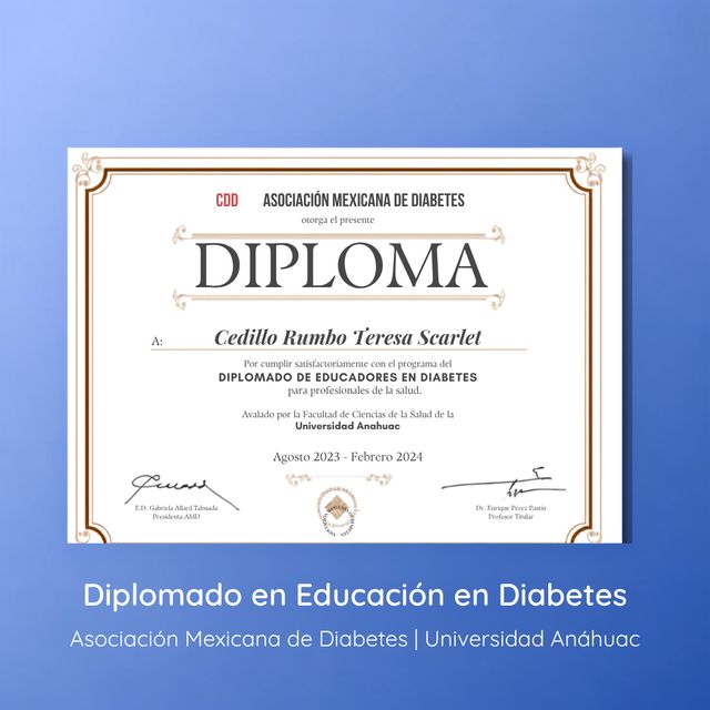 Ampliar imagen: certificate 4