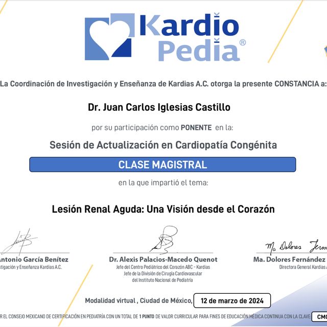 Ampliar imagen: certificate 17