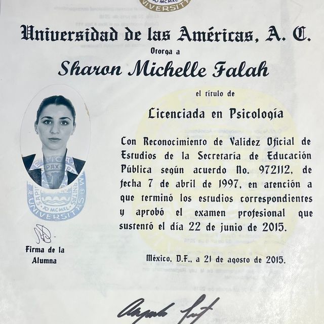 Ampliar imagen: certificate 1