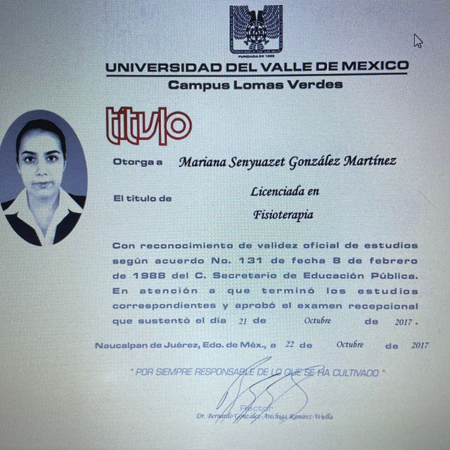 Ampliar imagen: certificate 2