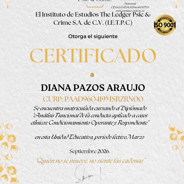 Ampliar imagen: certificate 1