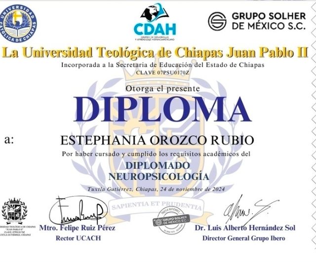 Ampliar imagen: certificate 4