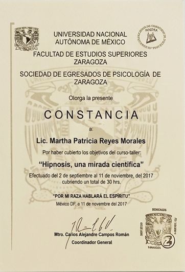 Ampliar imagen: certificate 16