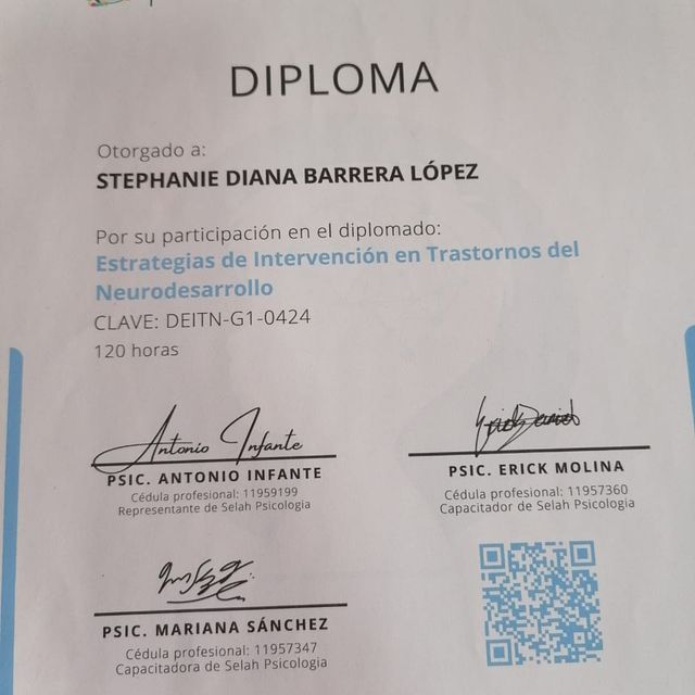 Ampliar imagen: certificate 29