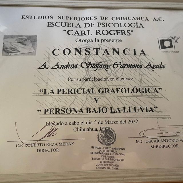 Ampliar imagen: certificate 4