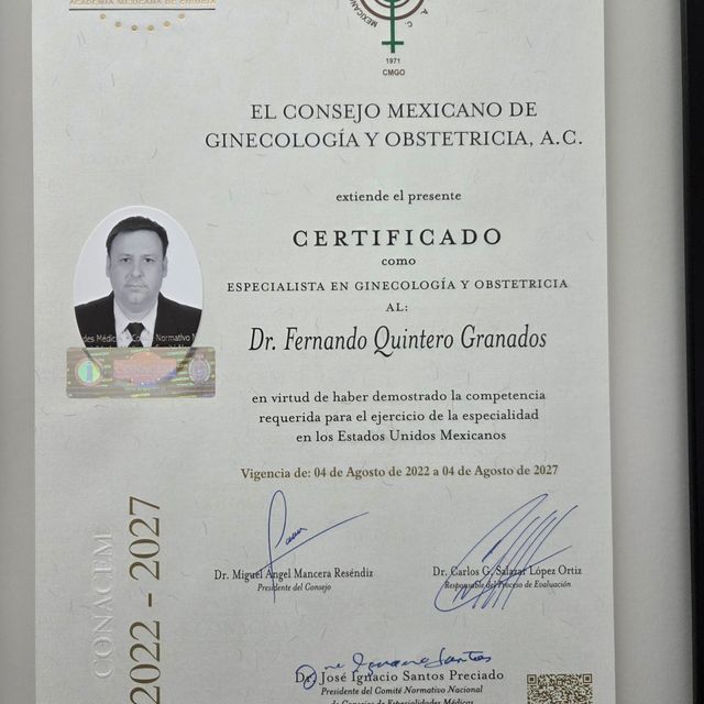 Ampliar imagen: certificate 1