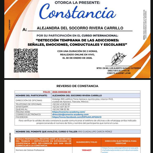 Ampliar imagen: certificate 9