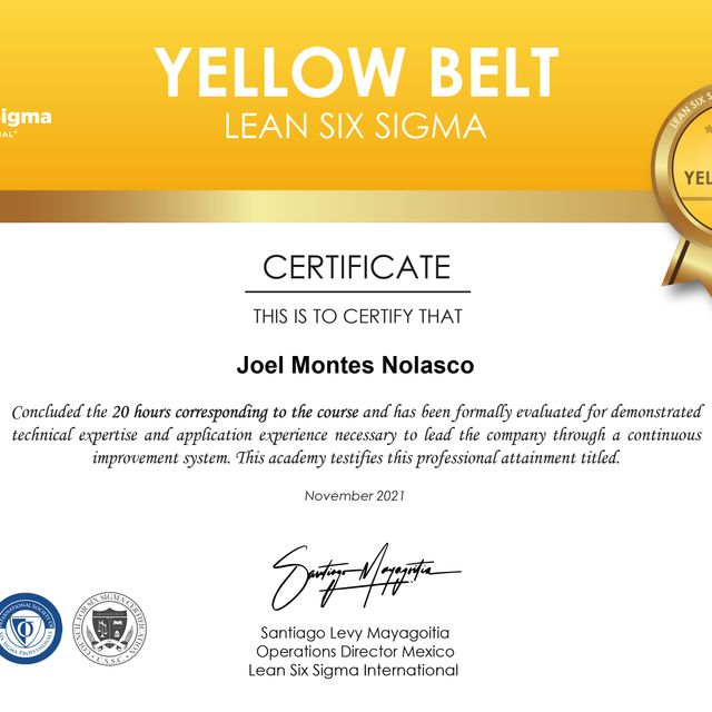 Ampliar imagen: certificate 3