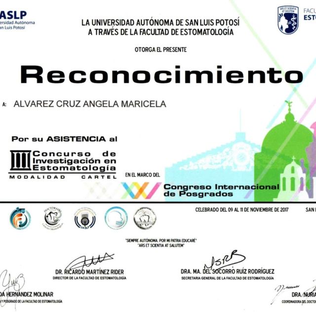 Ampliar imagen: certificate 4