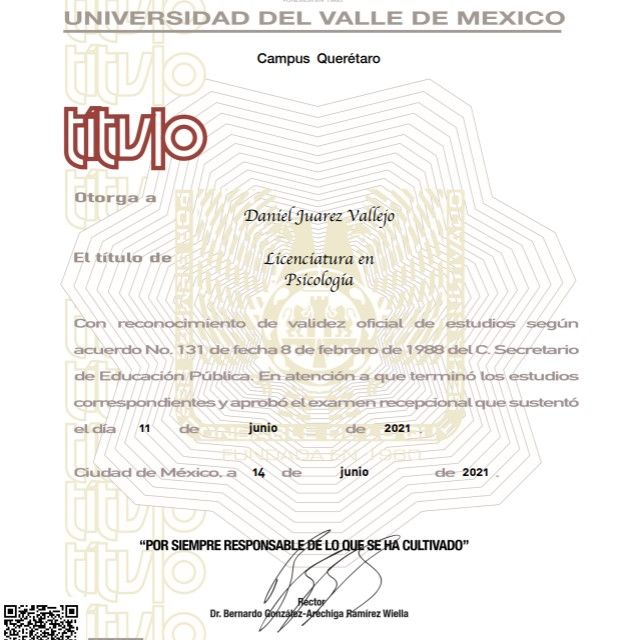 Ampliar imagen: certificate 2