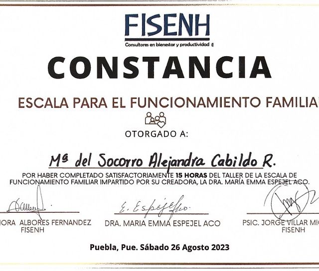 Ampliar imagen: certificate 5