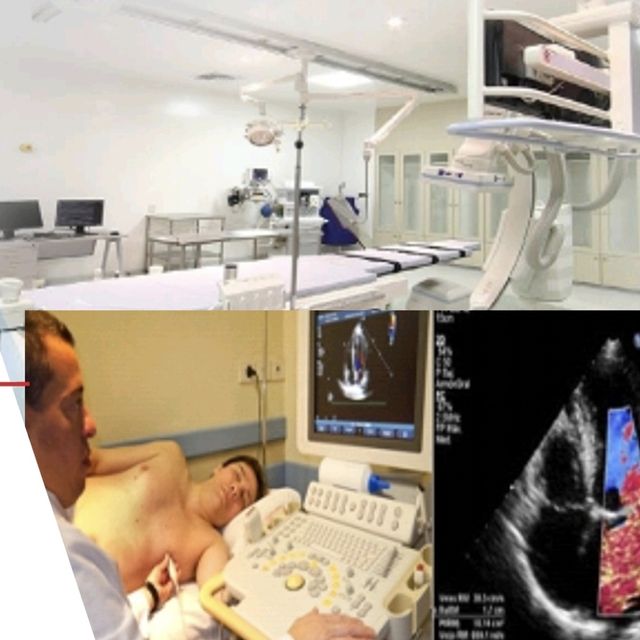 Ampliar imagen: certificate 7