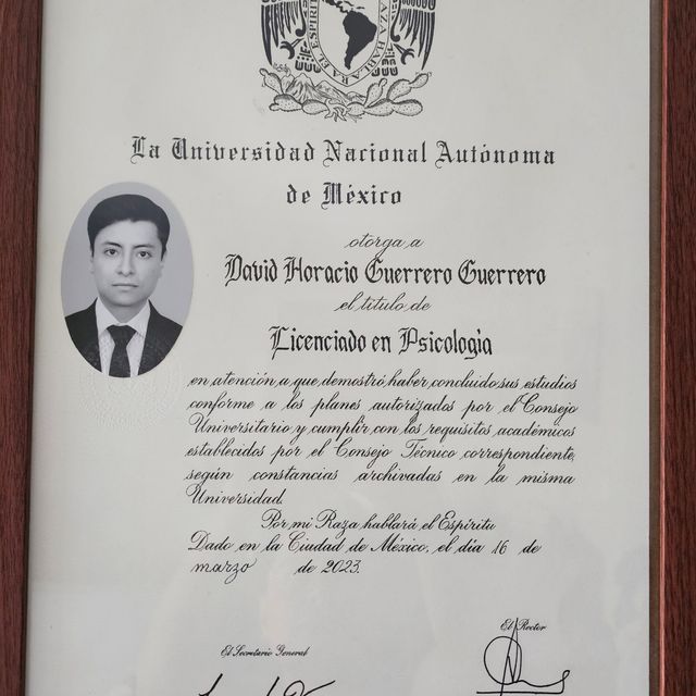 Ampliar imagen: certificate 1